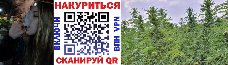Бошки Шишки OG Kush  Купить где  Бабушкин 
